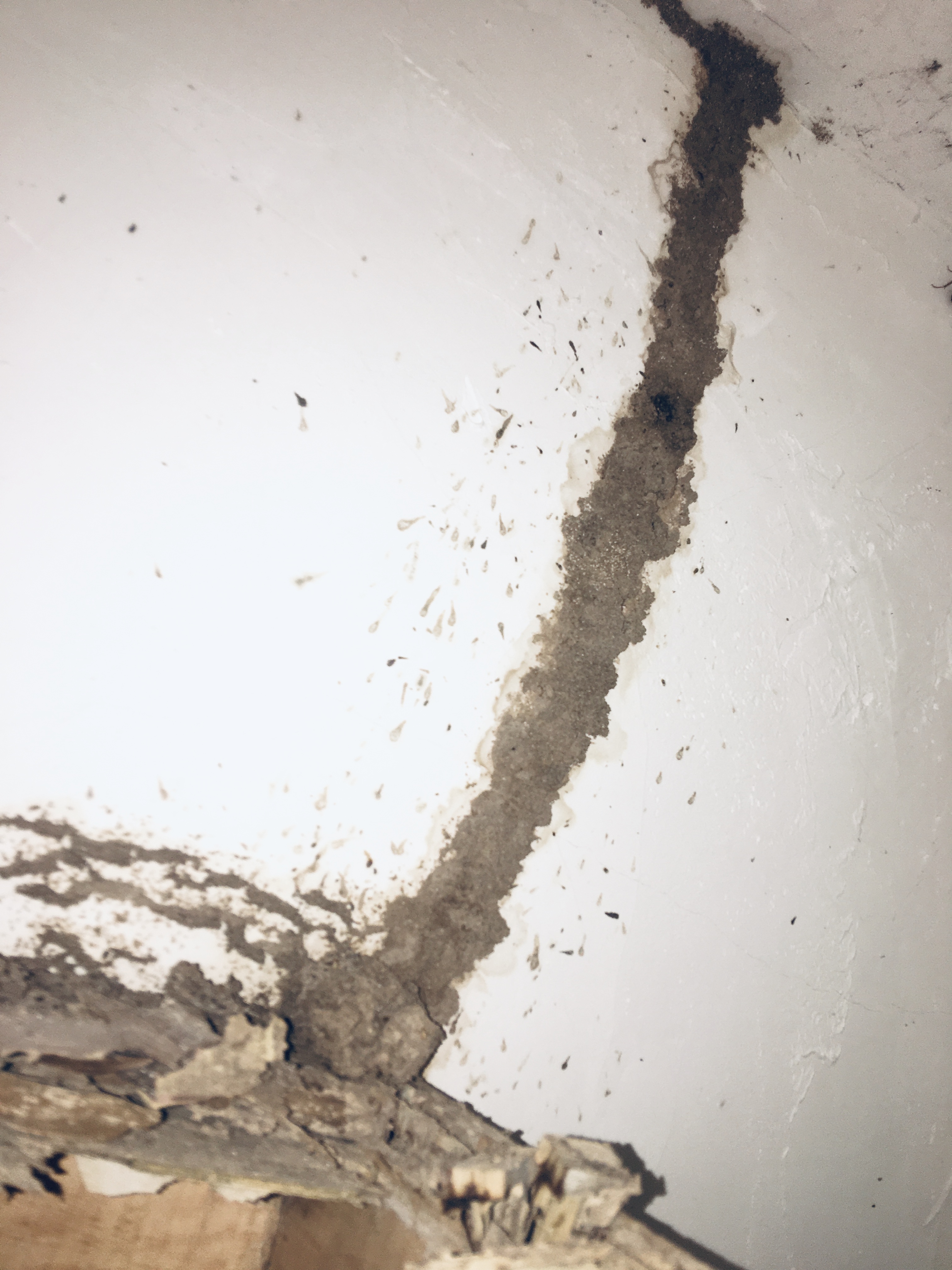 微信圖片_20220501090125.jpg 微信圖片_20220501090125.jpg