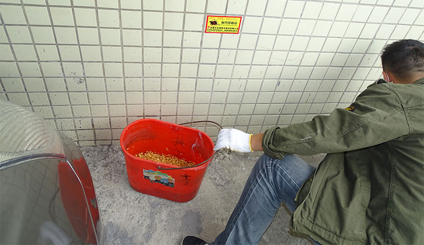 中山商場(chǎng)殺蟲滅鼠方案