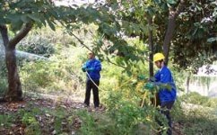 中山白蟻防治公司,當(dāng)天上門服務(wù),1小時(shí)內(nèi)