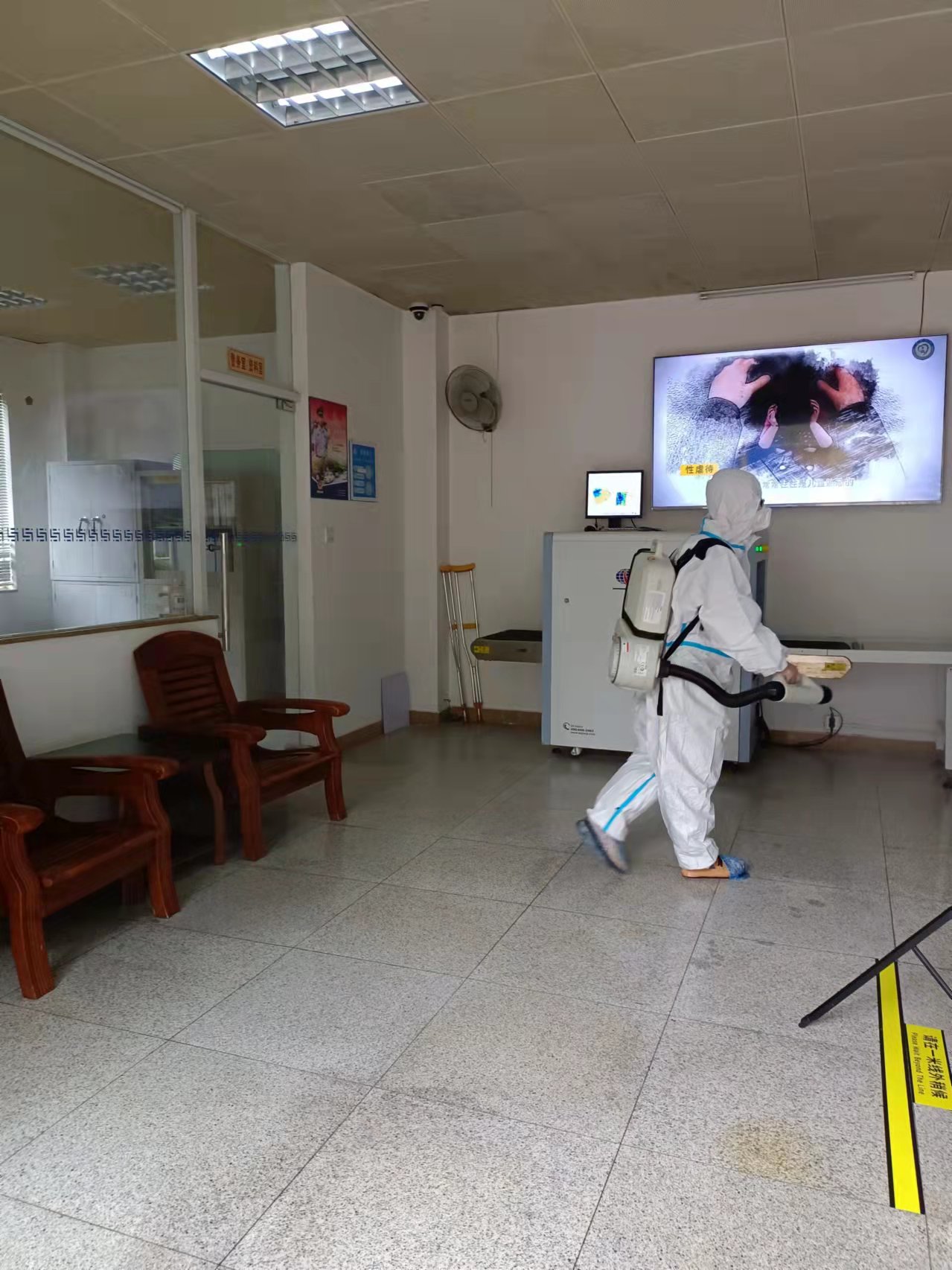 澳門專業白蟻防治公司熱線|澳門除四害公司