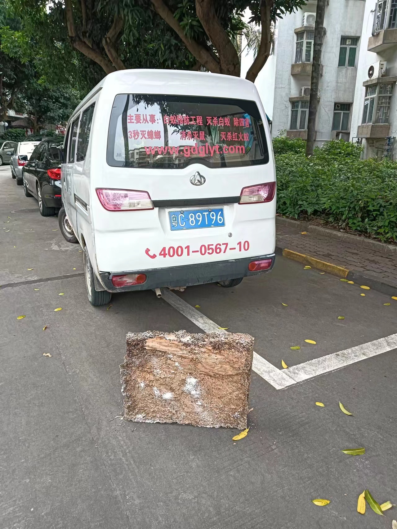 三鄉鎮白蟻防治 三鄉鎮白蟻預防 三鄉鎮殺