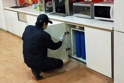 中山怎么樣才能消滅老鼠?中山滅鼠公司來幫