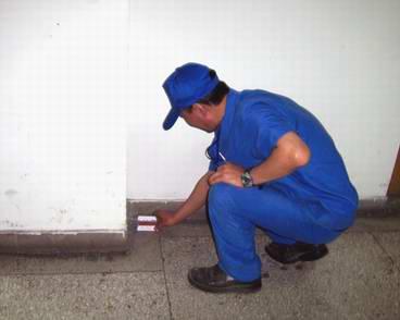 中山超市出現(xiàn)老鼠怎么辦?中山專業(yè)滅鼠公司