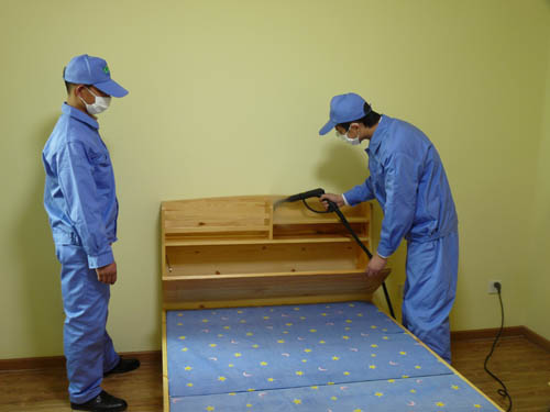 中山家里有跳蚤要怎么處理?中山專業(yè)殺蟲公