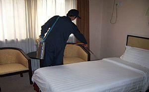 中山滅蟑螂有效的方法都有哪些?