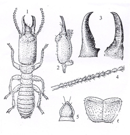 1581498385968653.png image.png