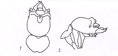 1581498561508047.png image.png