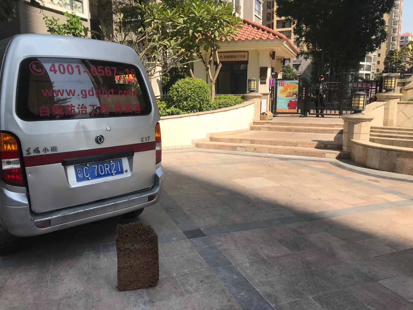 1591512301129387.jpg 微信圖片_小區白蟻圖.jpg